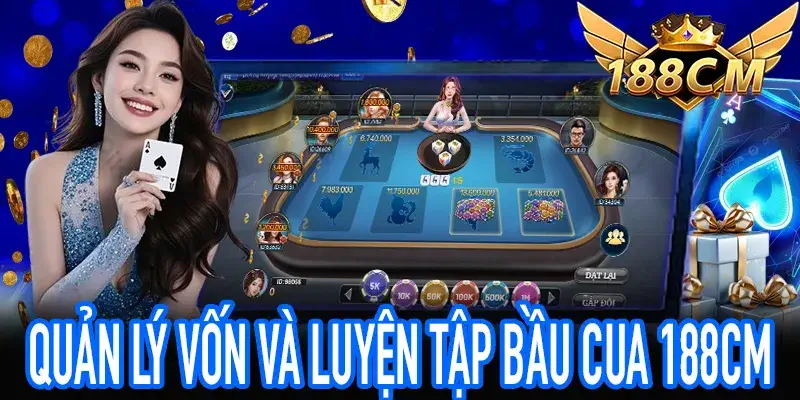 Chiến thuật quản lý vốn chơi Bầu Cua 188CM hiệu quả